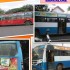 BUS BRANDING
