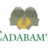 Cadabams rehabilitation centre India
