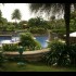 Angsana