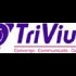 Trivium India Software (P) Ltd.