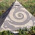 Pyramid Valley International