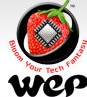 Wep Peripherals Limited
