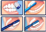 Dental Care