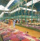 Lalbagh Gardens