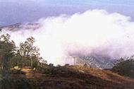Nandi Hills