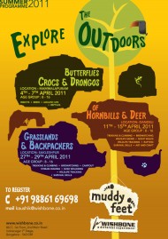 Summer programmes