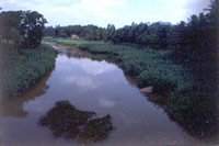 Hesaraghatta Lake