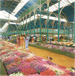 Lalbagh Garden