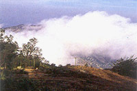 Nandi Hills