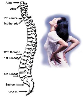 Avoid Back Pain