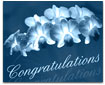 Congratulations...