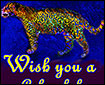 Wish you a colourful holi..