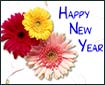 Happy New Year...
