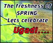 The freshness of spring....