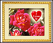 I love you