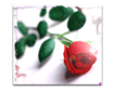 Express ur love... 