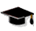 Degree Courses