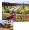 Hotel Mayura Cauvery