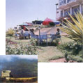Hotel Mayura Pine Top
