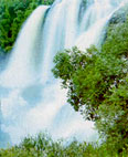 Shivanasamudra Water Falls