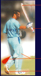 Sachin & Bat grip