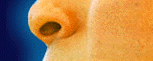 Sachin Tendulkar